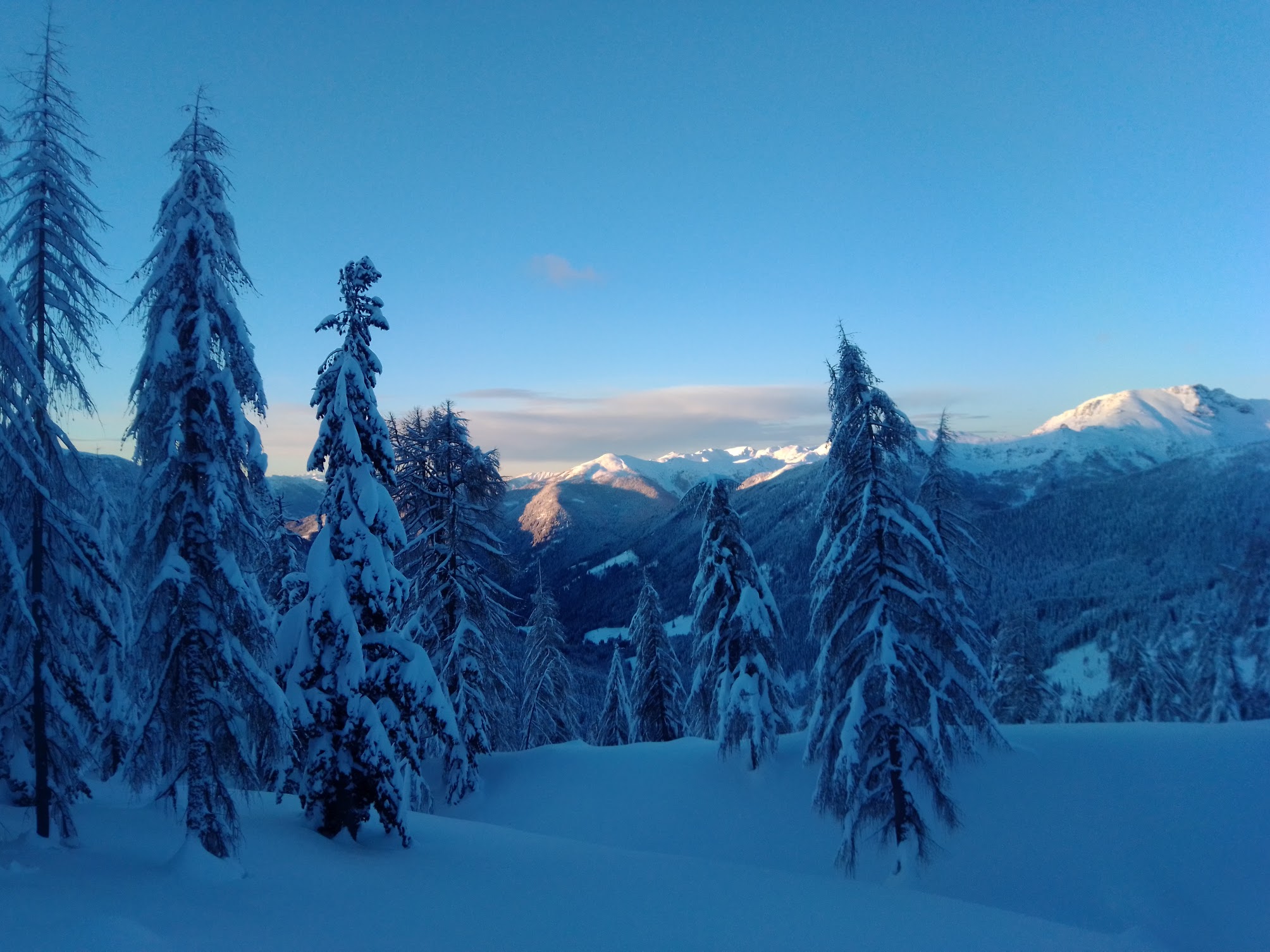 IMG_20201213_080659 – Copia