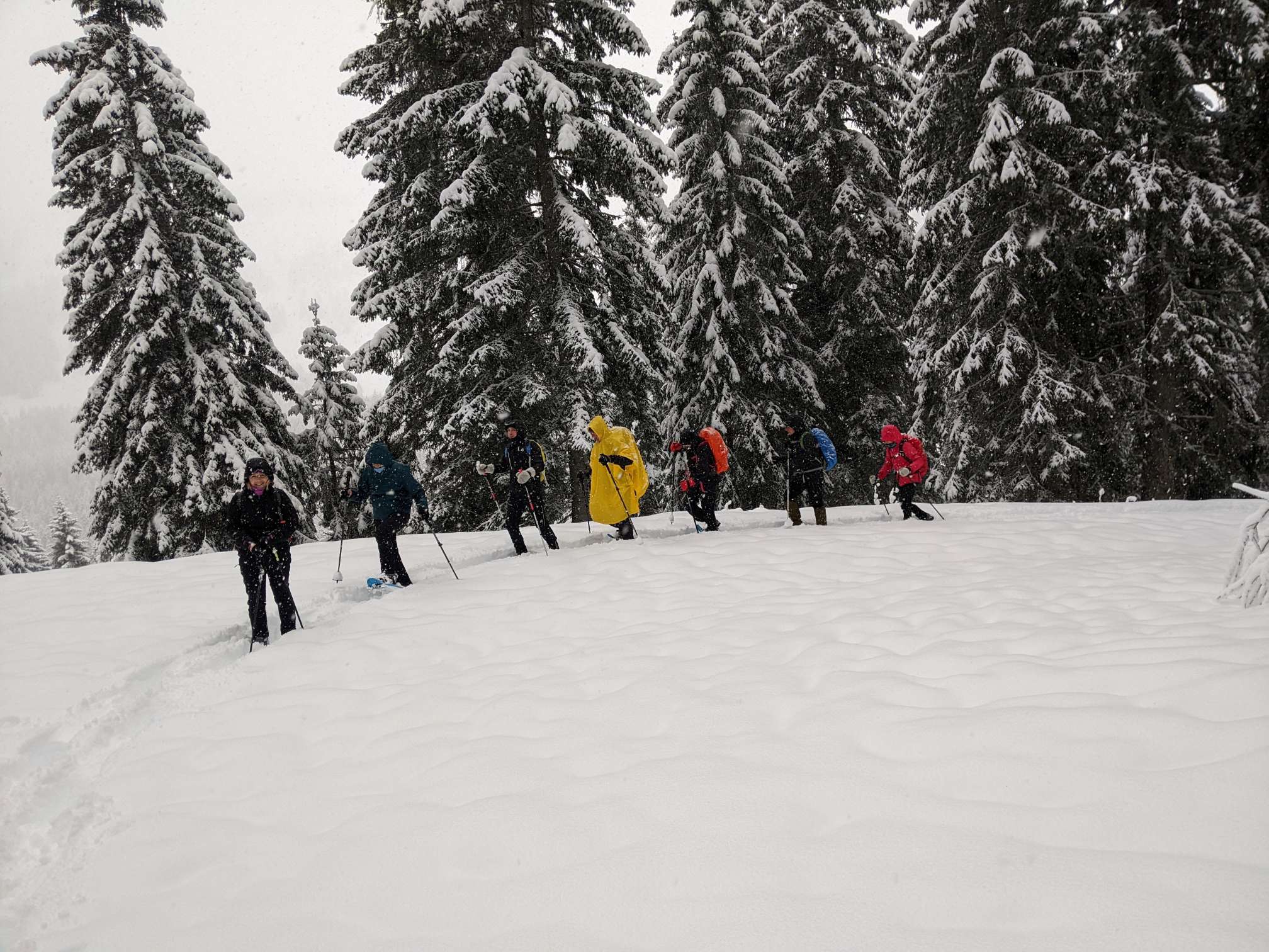 PXL_20240107_085841834