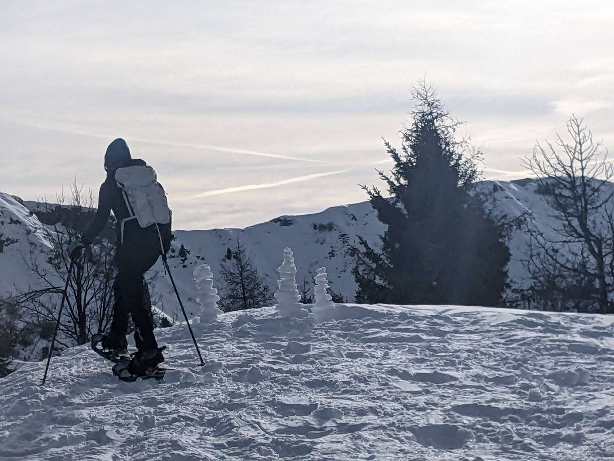 PXL_20240122_094715852.MP