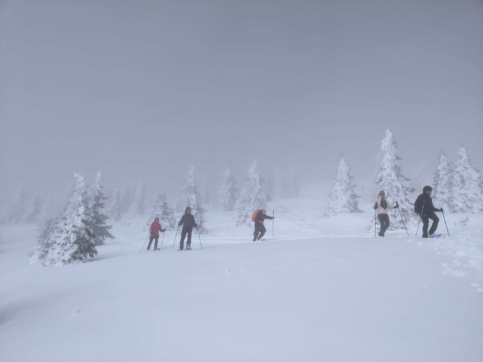 PXL_20240211_124433124.MP